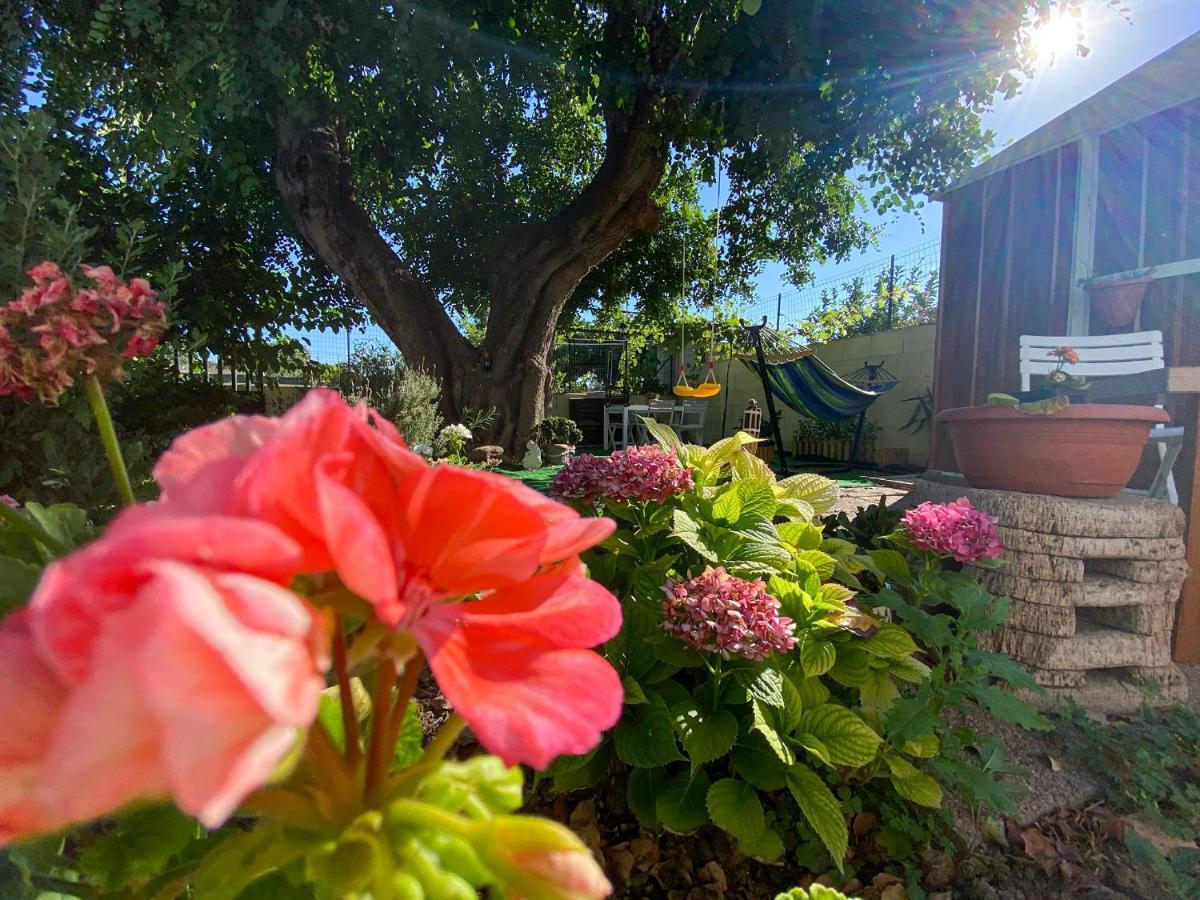 Villa La Casa Del Carrubo à Cagliari Extérieur photo